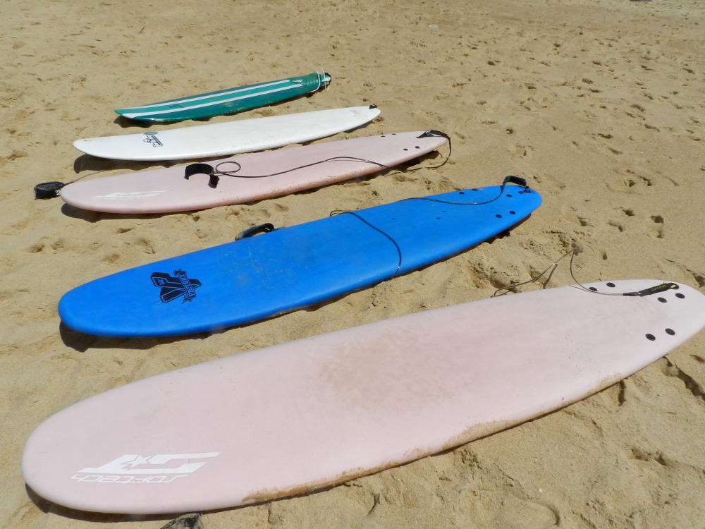 planches de surf